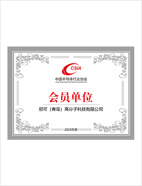 Member of Semiconductor Industry Association
